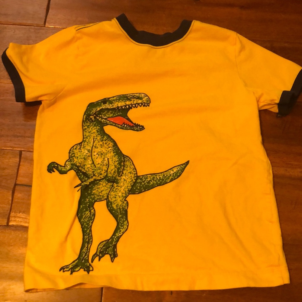 Dinosaur Hanna Anderson shirt